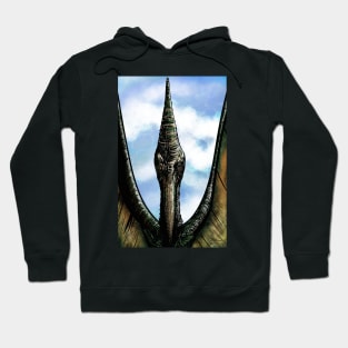 JP Pteranodon Hoodie